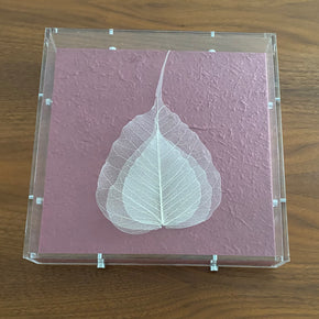 Quadro Folha Intensa: folhas naturais esqueletizadas com técnica ancestral e moldura em acrílico sobre fundo rosa intenso. Compre agora!