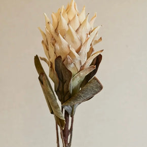 HASTE DE PROTEA COM EFEITO DESIDRATADO FLORARTE