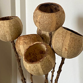 MAÇO CASCAS MINI ABÓBORAS DESIDRATADAS FLORARTE