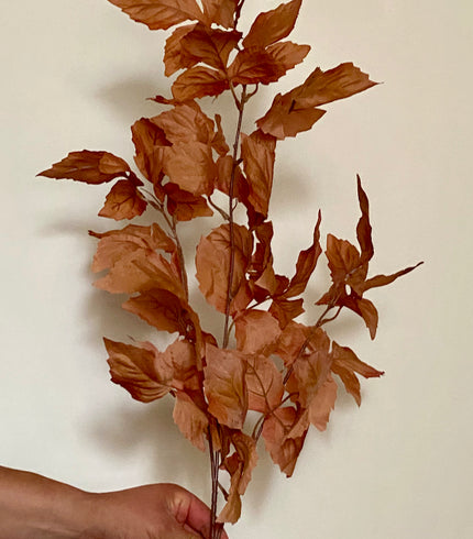 Plantas