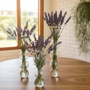 Trio de vasos Bubble em vidro transparente com hastes de lavanda natural, sobre mesa com tampo de madeira.