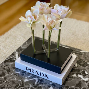 Vaso de vidro tubular com 4 pontas com arranjo de orquídeas brancas posicionado sobre livros de decoração em mesa de mármore.
