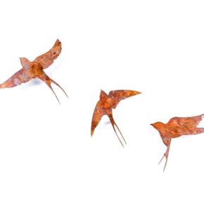 TRIO DE ANDORINHAS EM FERRO OXIDADO MERCATTO CASA