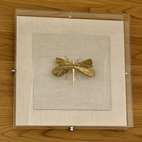 Quadro caixa de acrílico 30x30cm com libélula dourada instalado na parede.